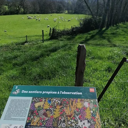 Au Pays Des Abbayes * Dourgne